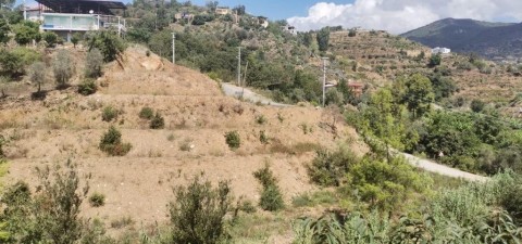 Alanya Çamlıca'da Satılık Tarla