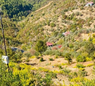 Alanya Çamlıca'da Satılık Tarla