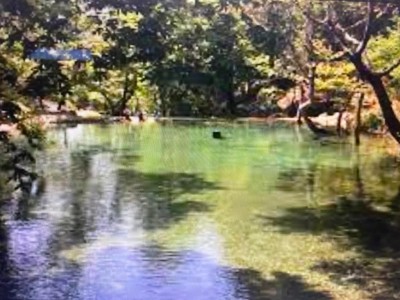 Alanya Sapadere'de  Satılık 2350 m2 Arsa