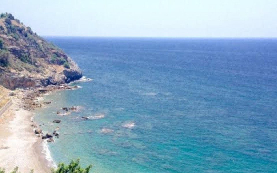 Alanya Uğrak  Mah Satılık 1305 m2 Tarla